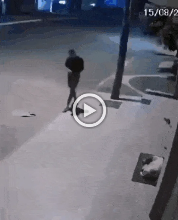 Разнообразные ГИФки #139