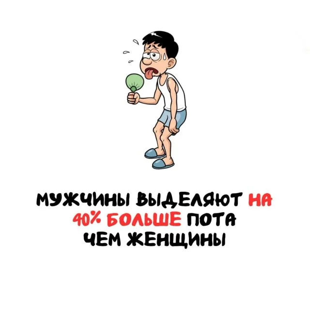 Подборка удивительных фактов на все времена