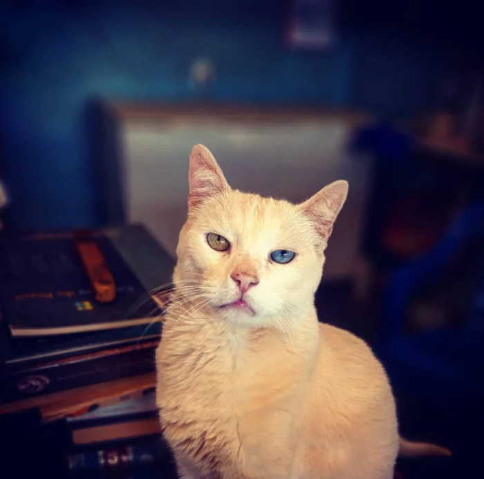 Подъехало всё вразнобой