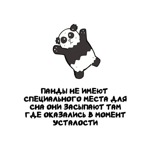 Любопытные факты, которые стоит знать каждому