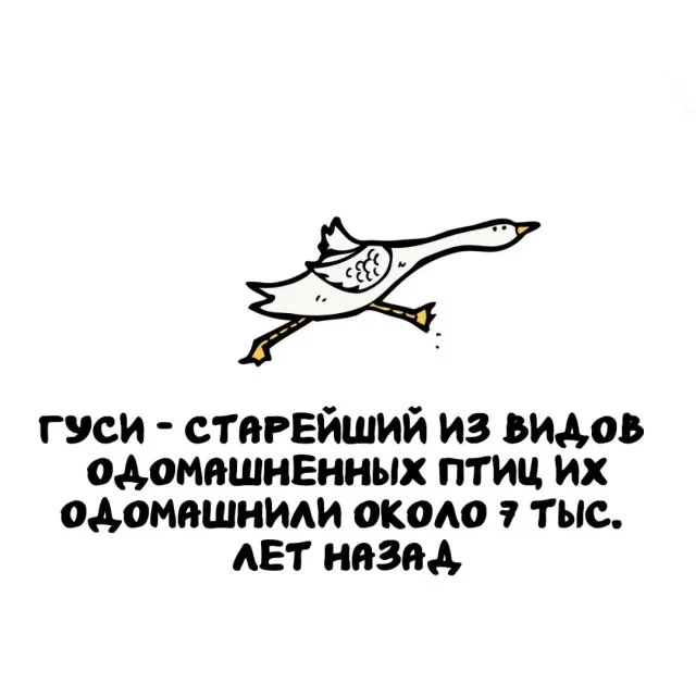 Любопытные факты, которые пригодятся каждому