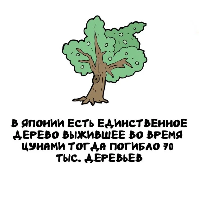 Любопытные факты, которые пригодятся каждому