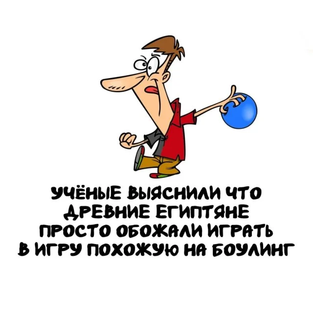 Любопытные факты, которые пригодятся каждому