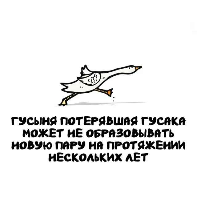 Подборка фактов, которые расширят кругозор