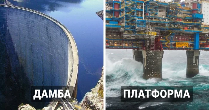 19 снимков, передающих суть мегалофобии