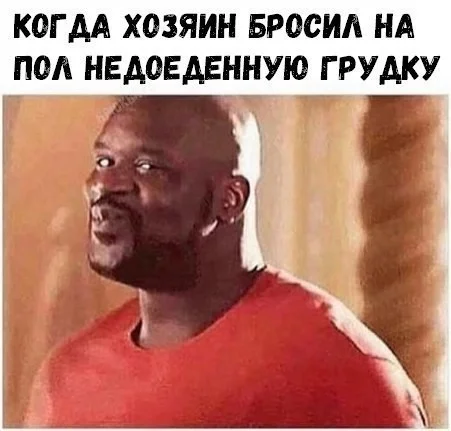 Чернявая дичь