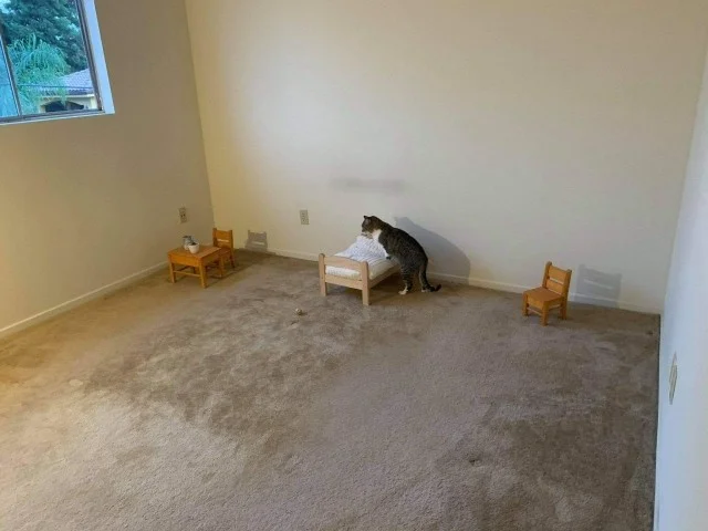 Держите свежие приколы