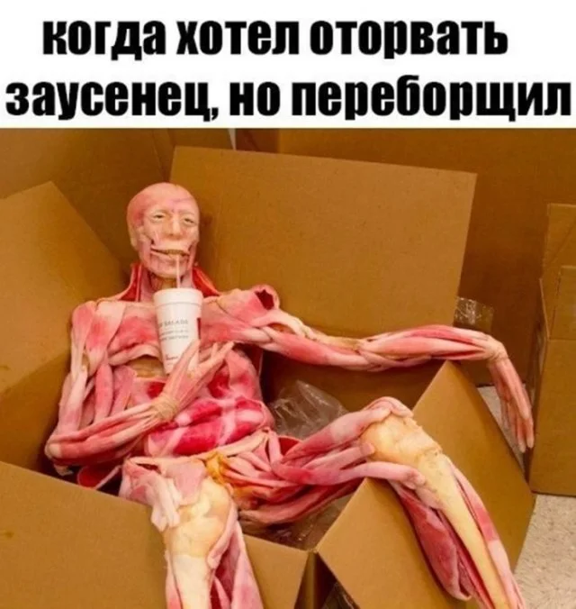 Деградейшен!