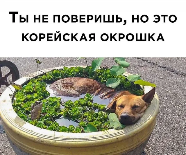 Отличные приколы #5