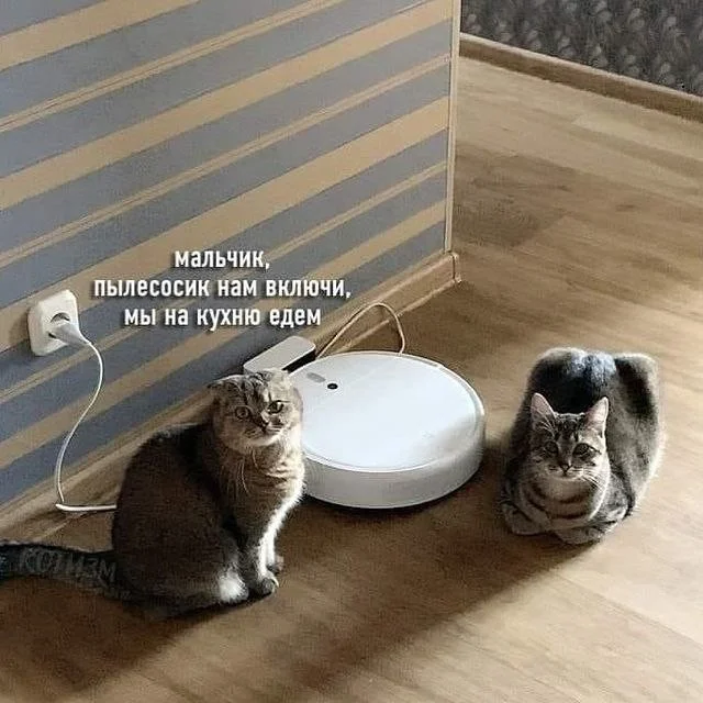 Деграднем? Да!