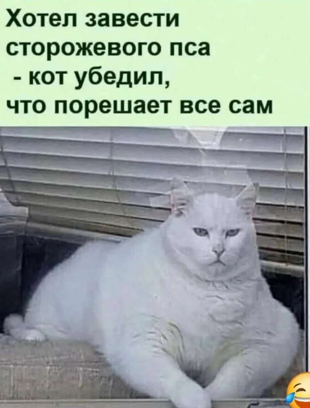 Котобаяны