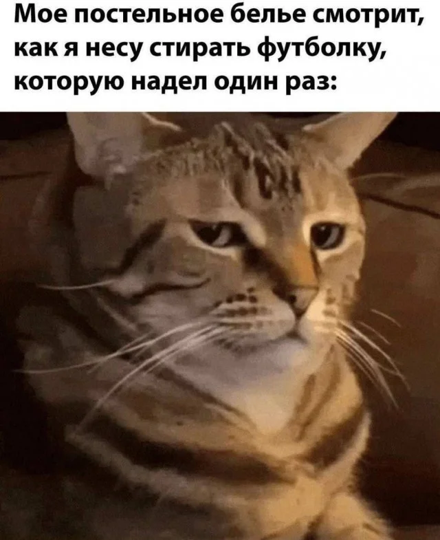 Классные и веселые картинки!