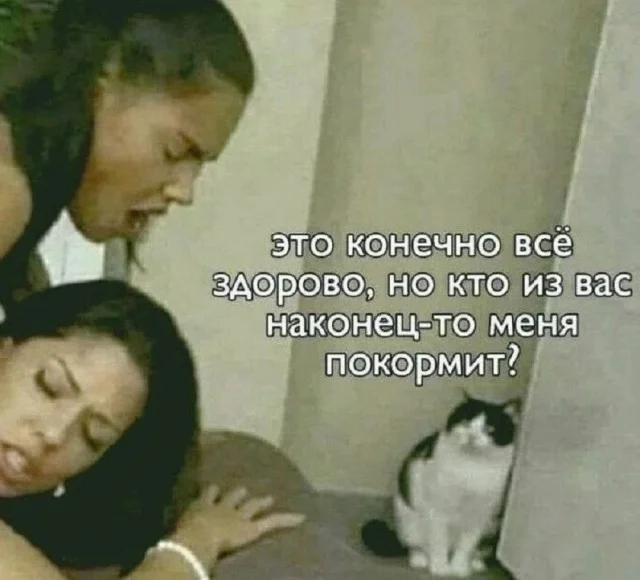 Ха-ха! Прикольные картинки!