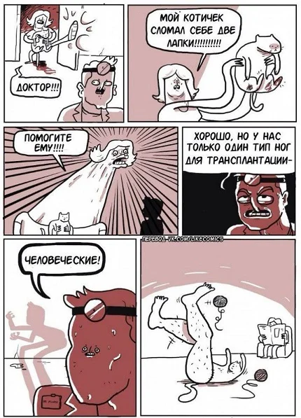 Во-первых картинки!