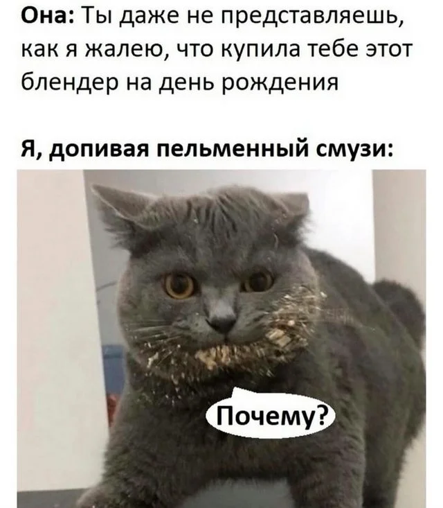 Кото-баяны