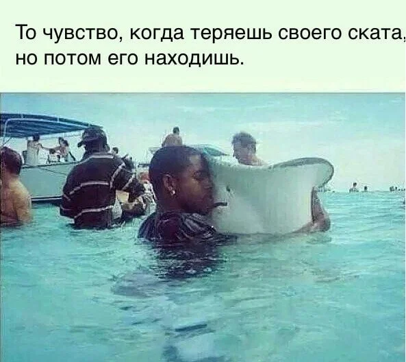 Вот и картинки