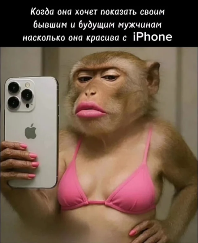 Картинки картиночки!