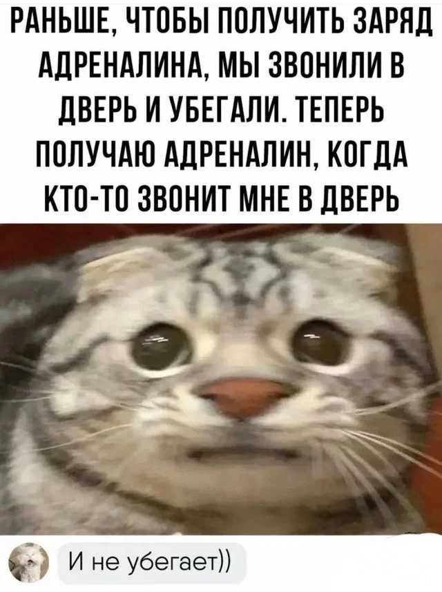 Держите баяны