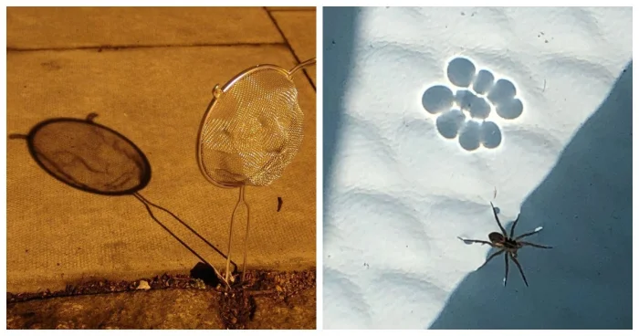 25 удивительных теневых иллюзий, созданных самой природой