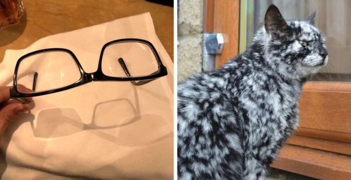 26 фотографий, которые заставят иначе взглянуть на привычные вещи