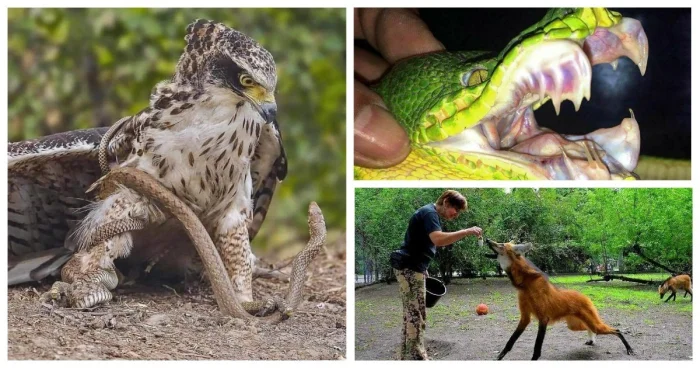 30 жутких природных явлений, от которых мурашки по коже