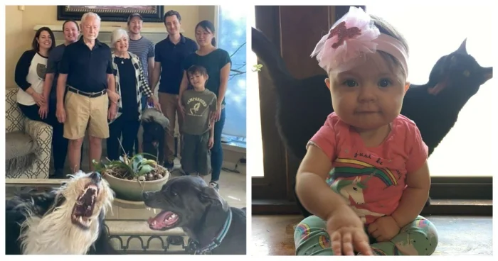 30 фото, где питомцы случайно украли весь кадр