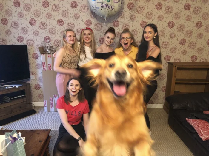 30 фото, где питомцы случайно украли весь кадр