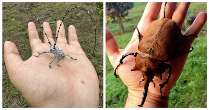 30 безобидных насекомых, которые только выглядят страшно