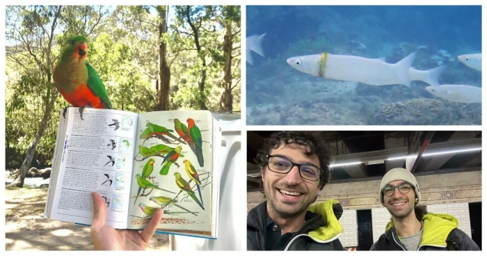 30 поразительных совпадений, выглядящих как работа ИИ, но созданных реальностью