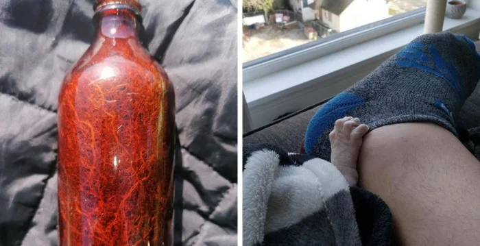 30 удивительных фактов, доказывающих, что мир полон чудес