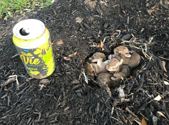 30 удивительных фактов, доказывающих, что мир полон чудес