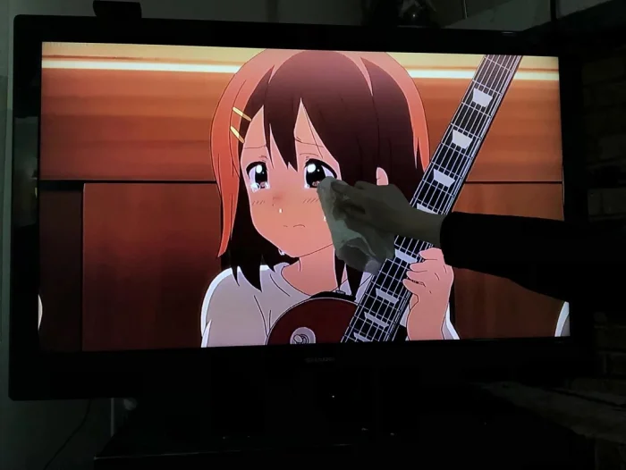 Вторичные анимемы