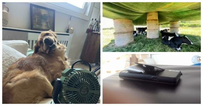 Фотохроника аномальной жары 2025 года по всему миру