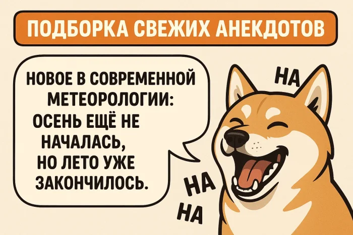 Подборка свежих анекдотов #6