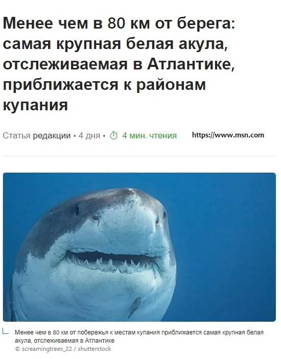 С брекетами лучше смотрелась бы белая бестия