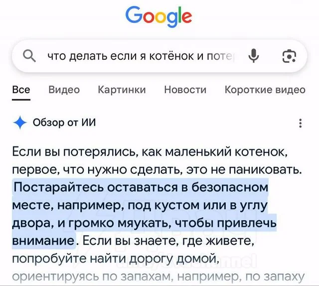 «Я котёнок и потерялся»: что подскажет нейросеть в такой ситуации
