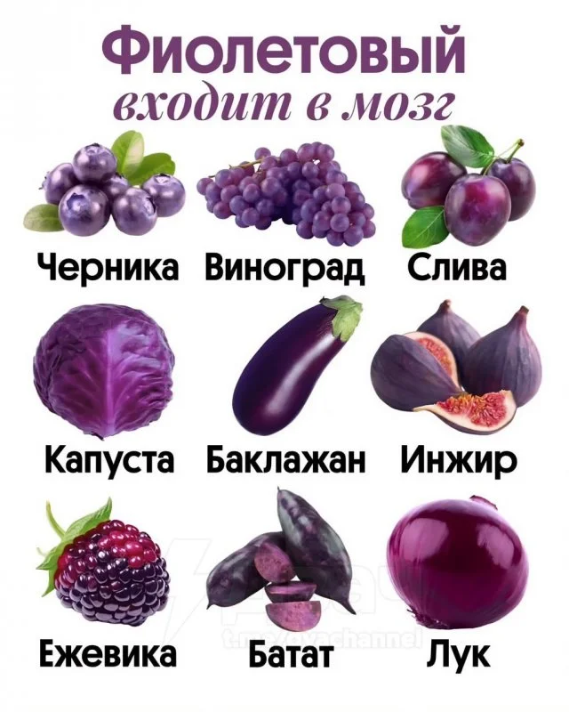Диетологи объяснили, как цвет продуктов влияет на здоровье органов