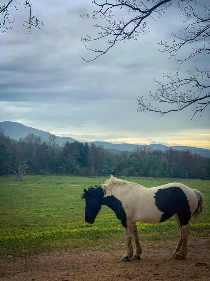 20 фотоиллюзий, которые заставят вас пересмотреть взгляд