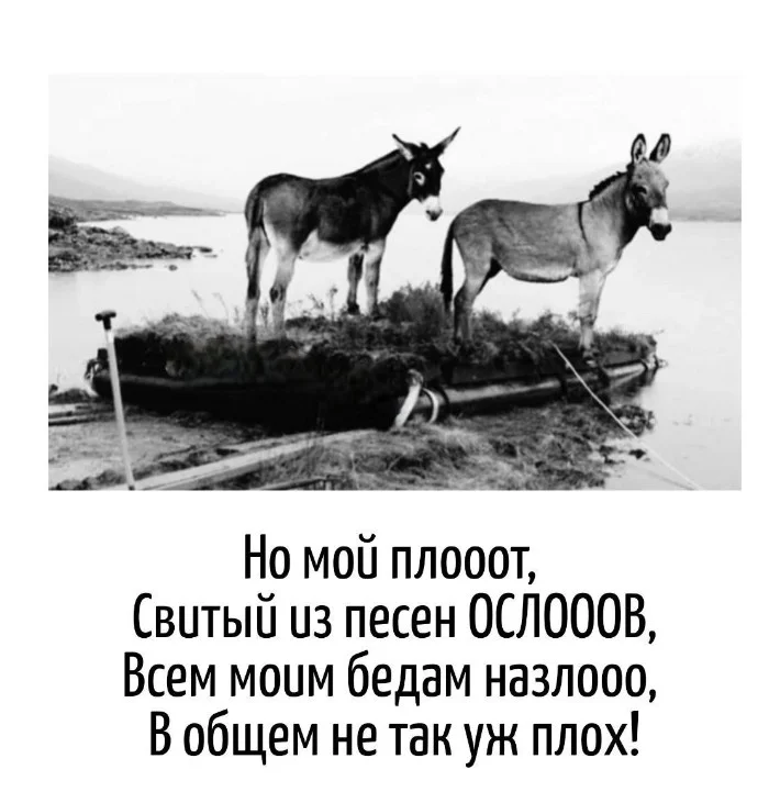 Игра слов – каламбуры, словесный юмор и прикольные картинки #112