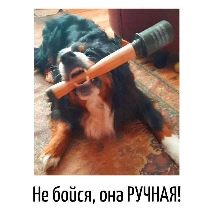 Игра слов – каламбуры, словесный юмор и прикольные картинки #115