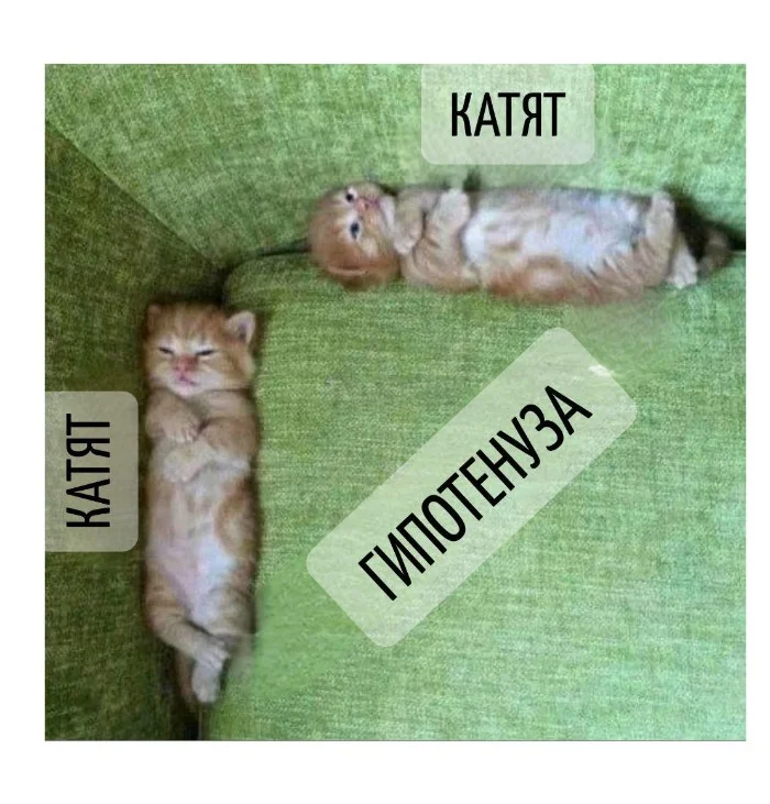 Игра слов – каламбуры, словесный юмор и прикольные картинки #128