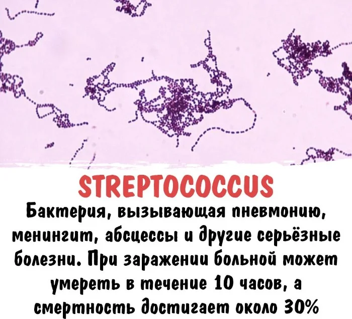 Интересная биология — удивительные факты о животных и растениях #106