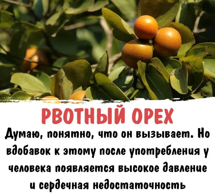 Интересная биология — удивительные факты о животных и растениях #107