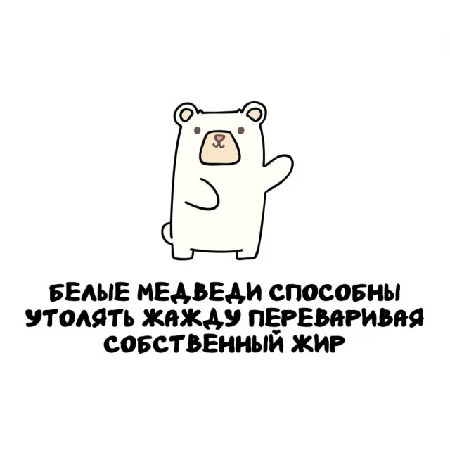 Факты, которые пригодятся в любой ситуации