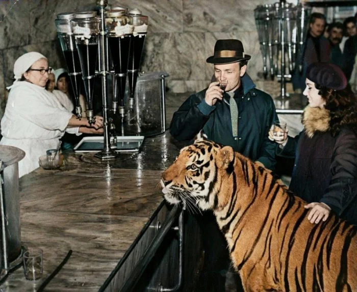 Редкие и атмосферные фото из СССР