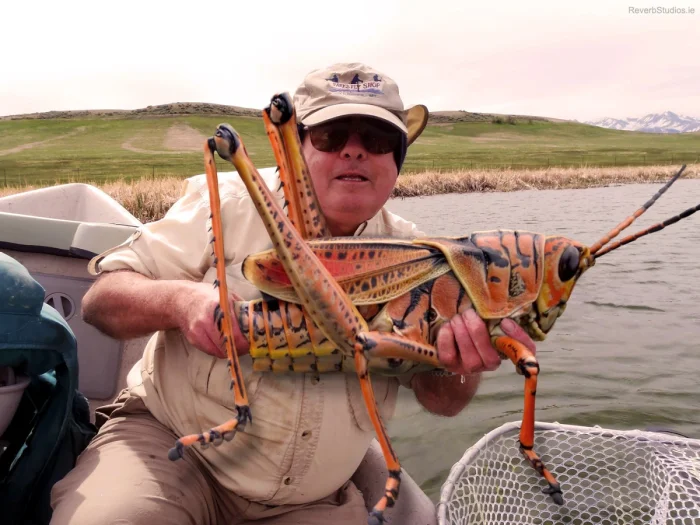 Как формируется рой саранчи: стихия, которой не остановить даже цивилизацию