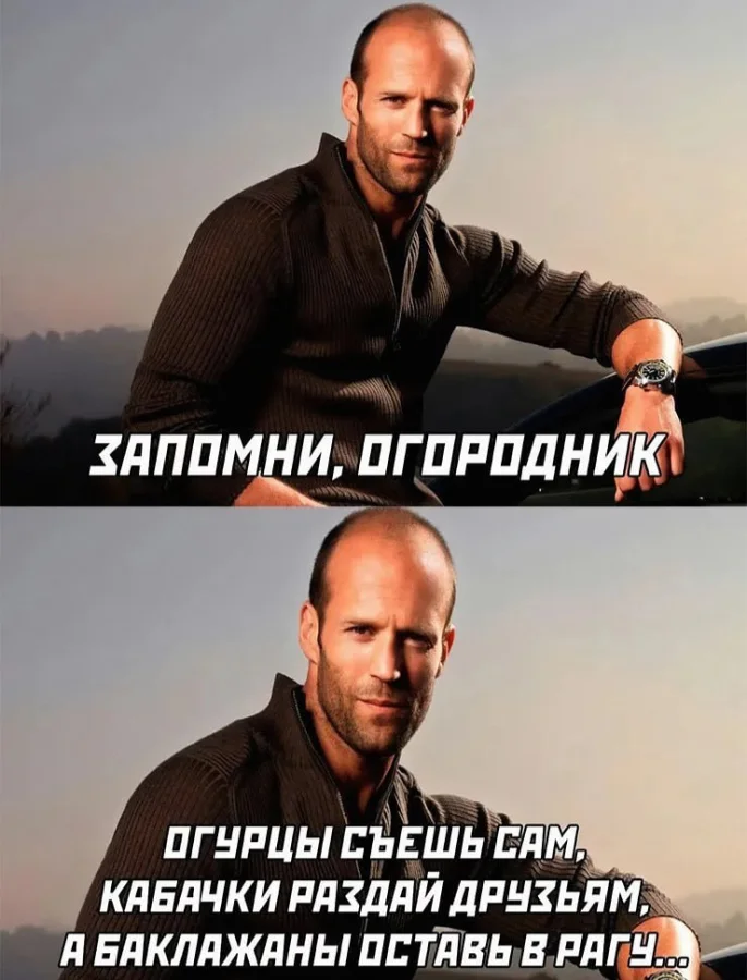 Кабачки из рук в руки