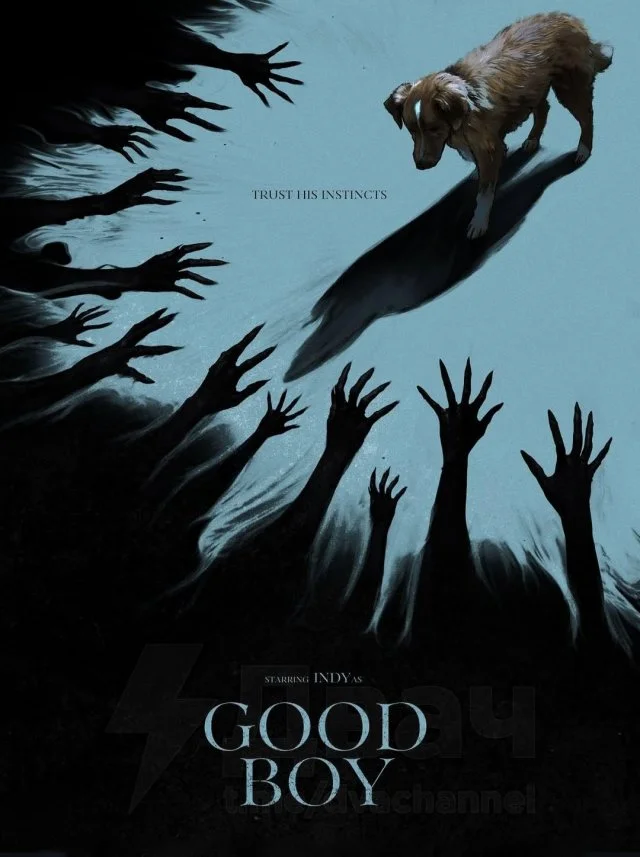 Хоррор «Хороший мальчик» покорил кинокритиков