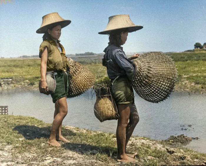 Фермерские девушки