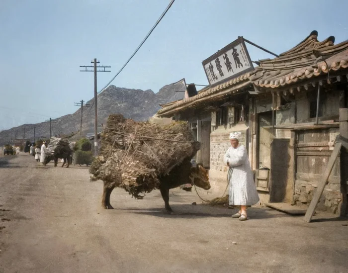 На улице Сеула